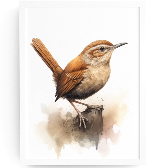 Creative Path Studios Other - Watercolor Wren Bird Portrait Wall Art Illustration Print Poster Unframed